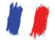 BANDERA FRANCIA